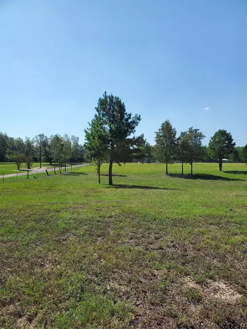 573 Cr 3980, Winnsboro, TX 75494