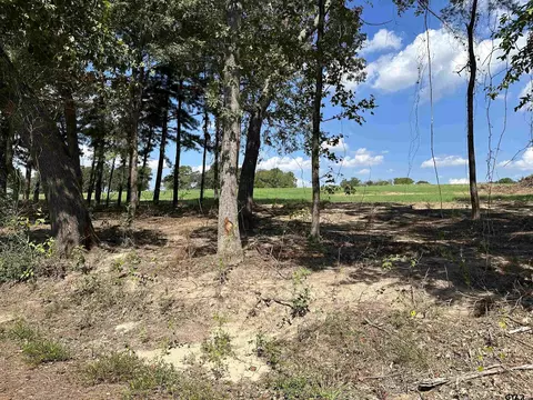 tbd Lot 9 County Road 409 D, Henderson, TX 75654