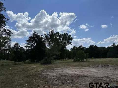 tbd E Cr 366, Mount Enterprise, TX 75681