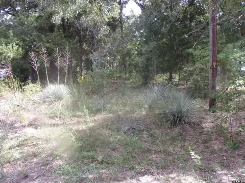 118 Mimosa Dr, Murchison, TX 75778