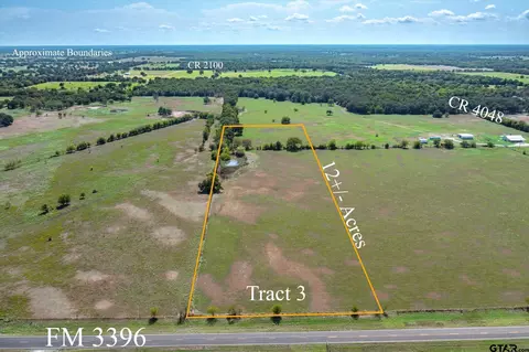 Tract 3 Fm 3396, Kemp, TX 75143