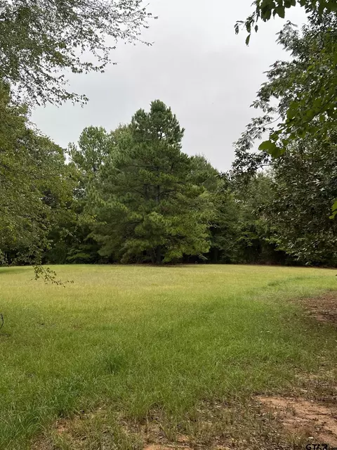 16686 Cr 357, Winona, TX 75792