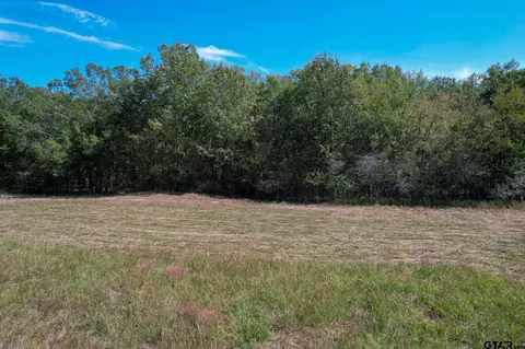 20 Acres Cr 2220, Talco, TX 75487