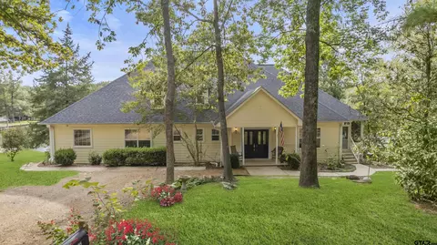 255 El Dorado Dr, Scroggins, TX 75480