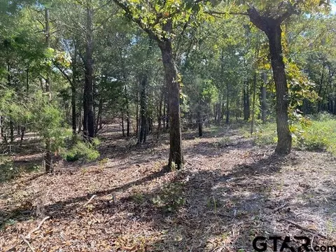 17762 Turner Cir, Tyler, TX 75704