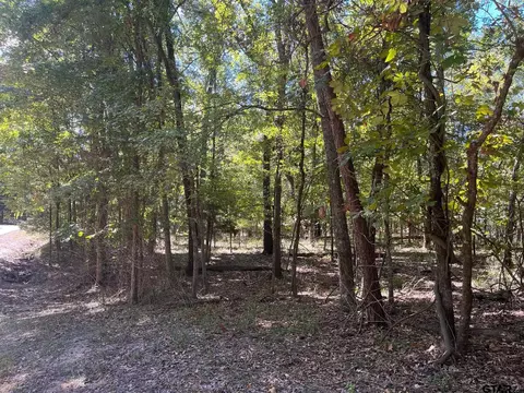 lot2 Trappers Trl, Mount Vernon, TX 75457