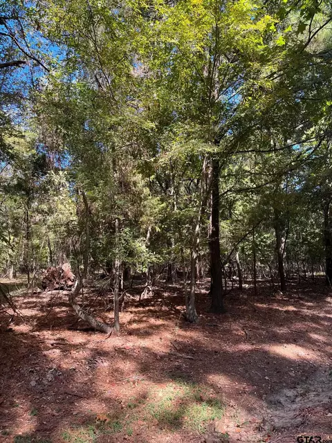 lot7 Whippoorwill, Mount Vernon, TX 75457