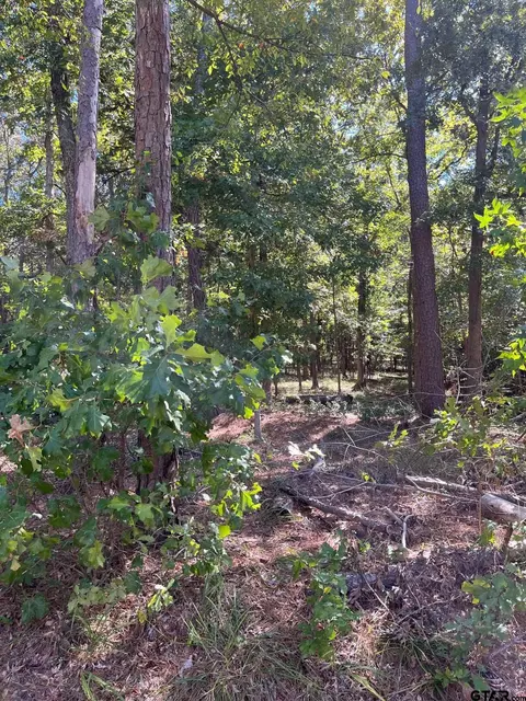 lot10 Cypress Creek Dr, Mount Vernon, TX 75457