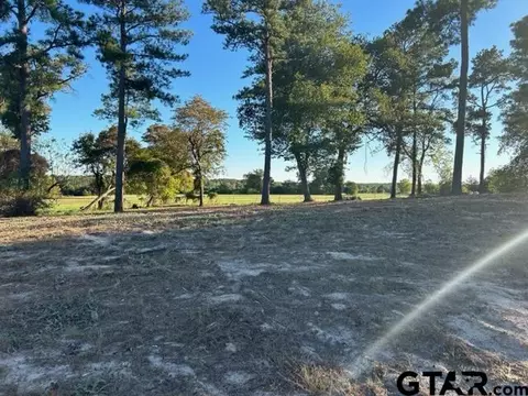 tbd Cr 3545, Hawkins, TX 75765