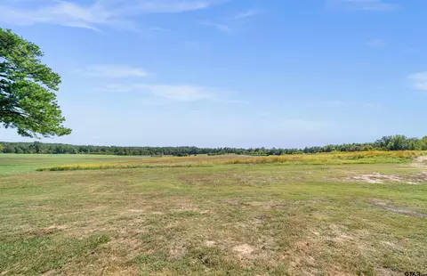 10172 Fm 2767, Tyler, TX 75708 photo 36