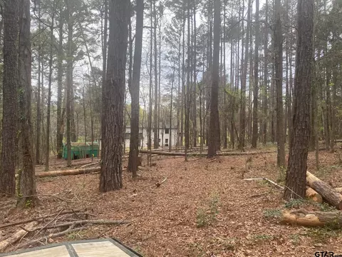 1636 Morningside Trl, Hideaway, TX 75771