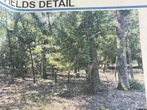 lot88 Primrose Path, Holly Lake Ranch, TX 75765