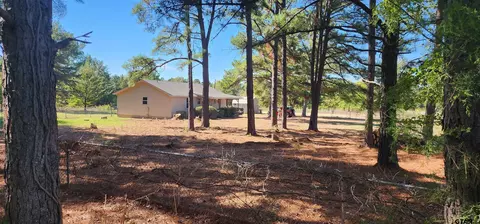 2729 Airstrip, Gilmer, TX 75644 photo 27