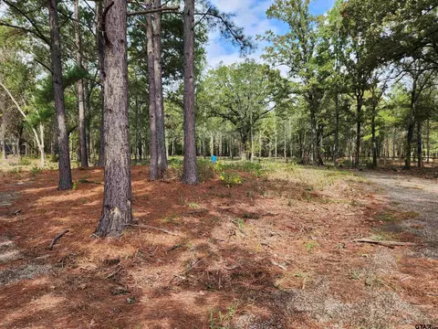 130 Cr 2198, Mineola, TX 75773