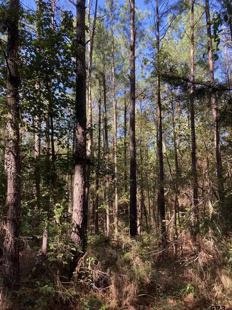 10940 Groundhog, Gilmer, TX 75644