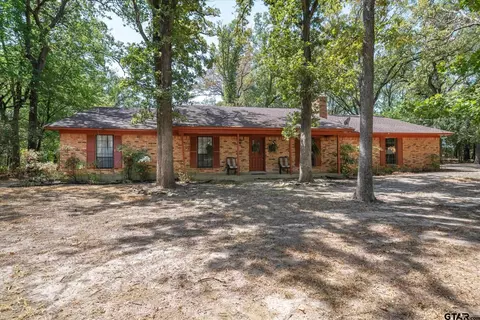 1893 Vz County Road 1412, Van, TX 75790