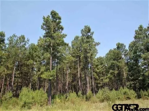 tbd Fm 2869, Hawkins, TX 75765