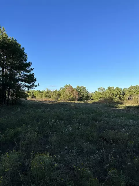tbd Cr 3308, Jacksonville, TX 75766