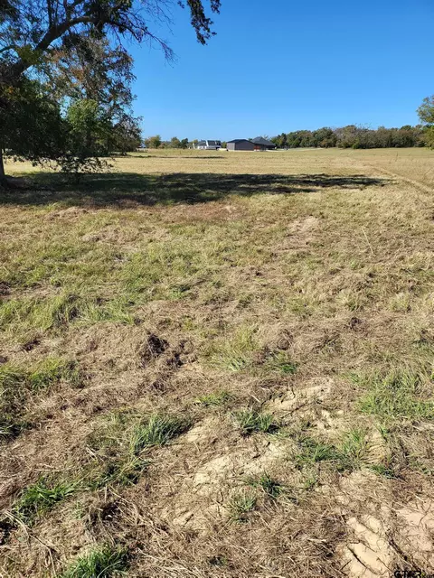 tbd Van Zandt County Road 2434, Canton, TX 75103