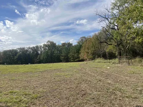 0000 County Road 357, Henderson, TX 75654