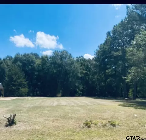 tbd Lot E-52 Cr 4256, Henderson, TX 75654