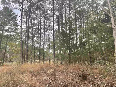 23530 Cr 3118, Winona, TX 75792
