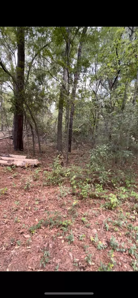 151 Fairfiew, Bullard, TX 75757