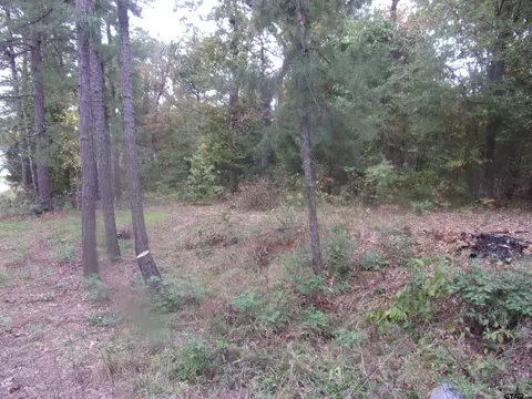 000 E Willow Ln, Murchison, TX 75778 photo 5