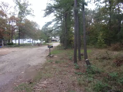 000 E Willow Ln, Murchison, TX 75778 photo 6