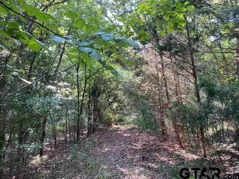 Tr 1 Cr 41514, Athens, TX 75751