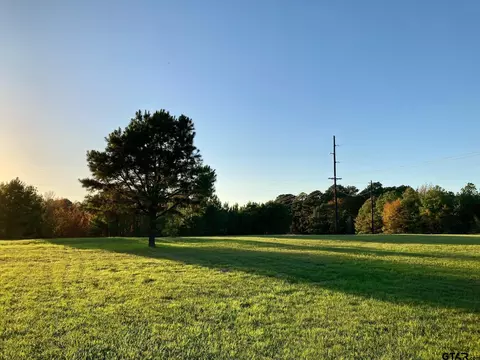 tbd Fm 49, Big Sandy, TX 75755