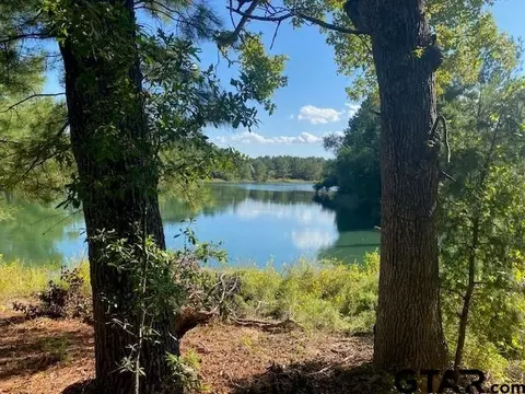 1265 Fm 1254, Mineola, TX 75773