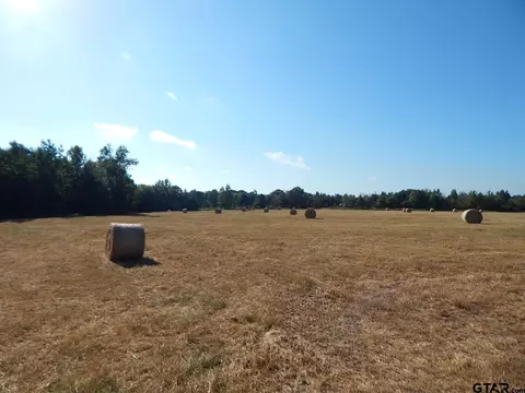 tbd 22 Acres Fox Rd Lot #5, Gilmer, TX 75644