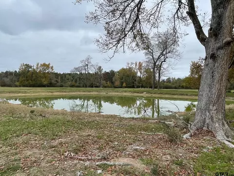 949 Fm 1309, Lovelady, TX 75851