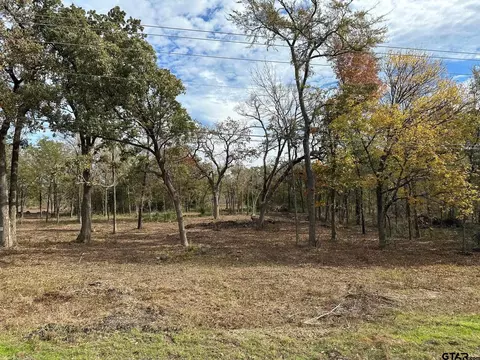 tbd E 3 E Loop 301, Sulphur Springs, TX 75482
