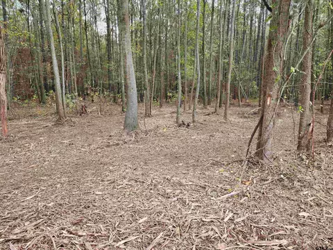 tbd Cr 4313 #LOT 5, Pittsburg, TX 75686