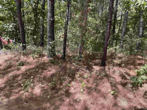 lot454 San Saba, Mount Vernon, TX 75457
