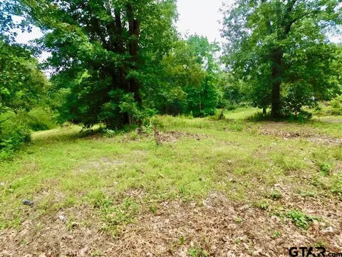 3112 Lakewood Dr, Tyler, TX 75702