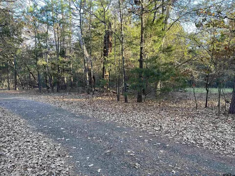 lot03 Cr 2450, Leesburg, TX 75451