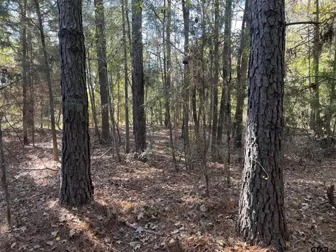 000 Cr 4105, Daingerfield, TX 75638