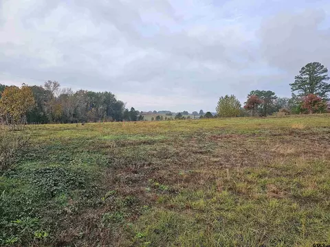 Tbd Cr 387 D, Henderson, TX 75654