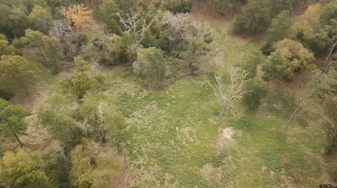 640 An Cr 2218, Tennessee Colony, TX 75861