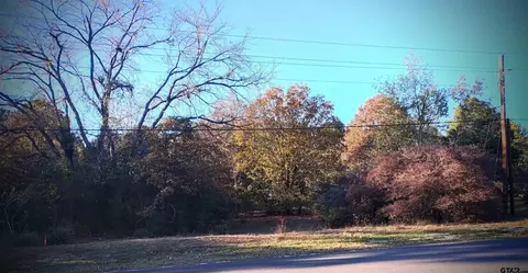 tbd Holly Trl E, Holly Lake Ranch, TX 75765