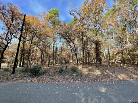 tbd Birchwood, Holly Lake Ranch, TX 75765