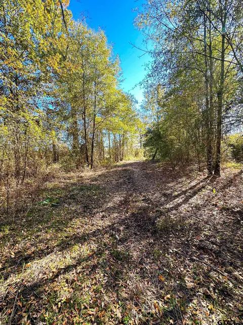 tbd Cr 1301, Rusk, TX 75785