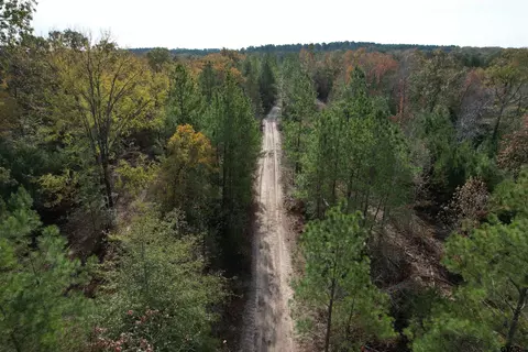 tbd Cr 2300, Grapeland, TX 75844