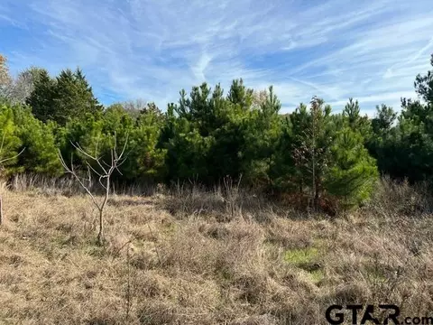 357 3230, Quitman, TX 75783 photo 2