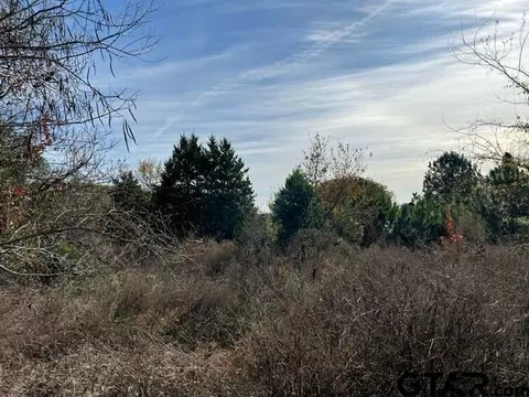 357 3230, Quitman, TX 75783 photo 3