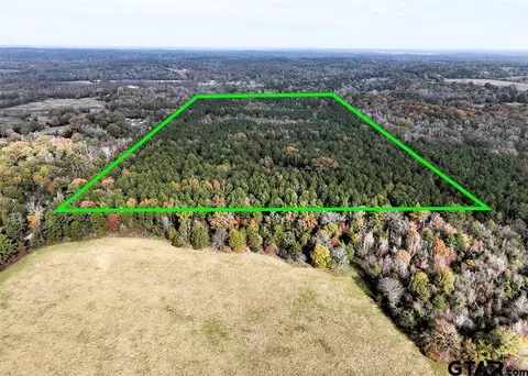 tbd Cr 4583, Winnsboro, TX 75494