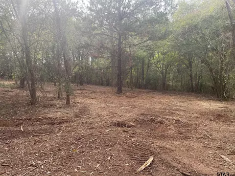 21817 C R 2160, Troup, TX 75789